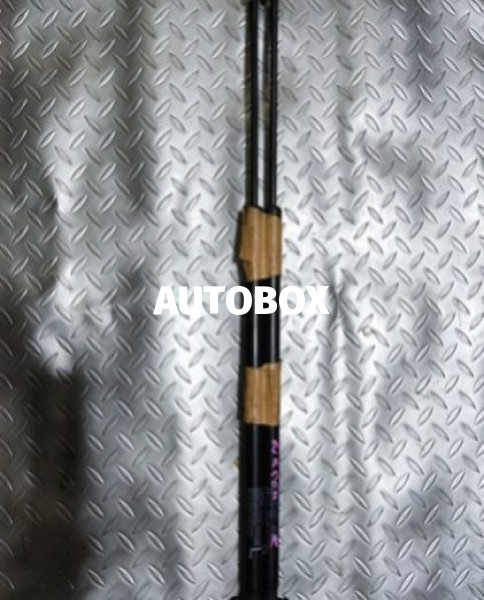 Suzuki Wagon R 55S Dicky Shocks